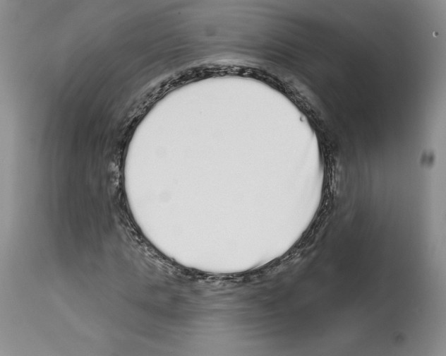 X0000112720821200910011129