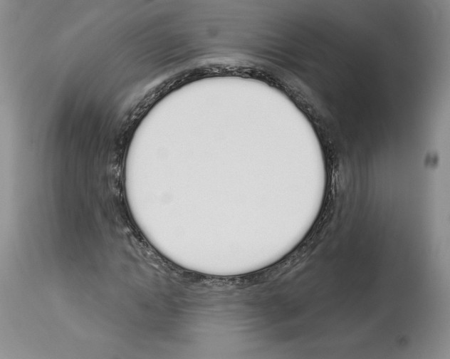 X0000112720822200910011129