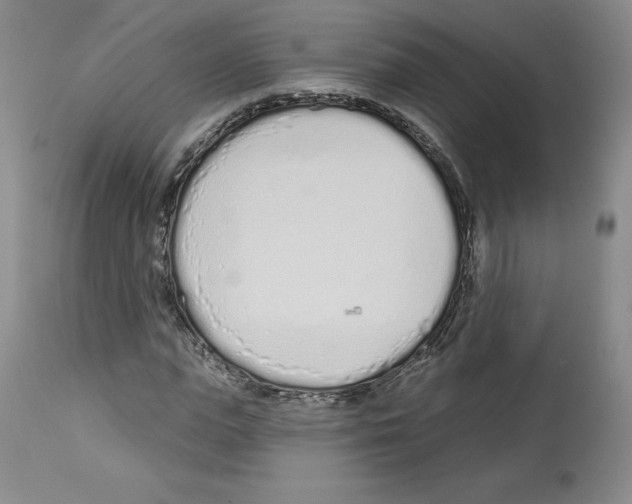 X0000112720823200910011129