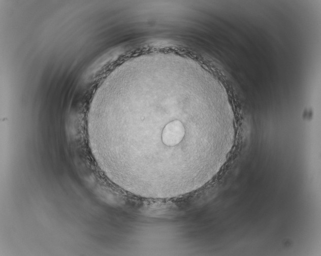 X0000112720824200910011129