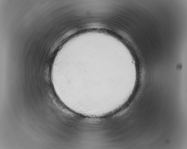 X0000112720825200910011129