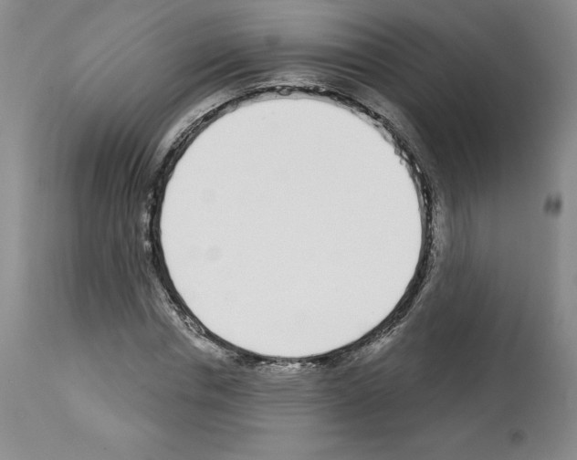 X0000112720826200910011129