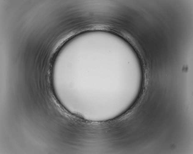 X0000112720827200910011129