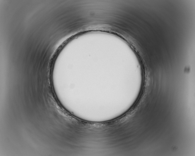 X0000112720830200910011130