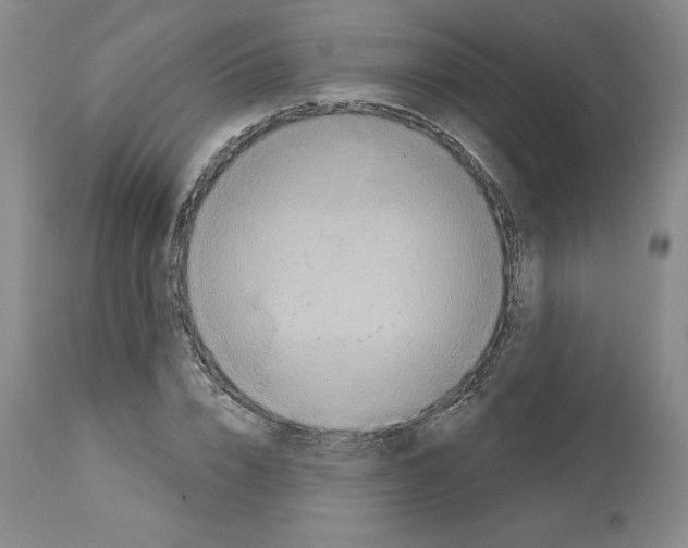 X0000112720832200910011130