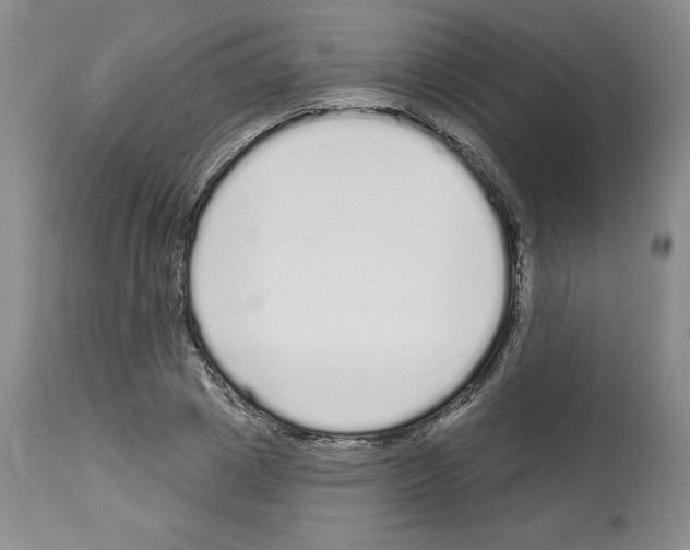 X0000112720833200910011130