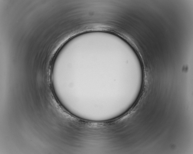 X0000112720835200910011130