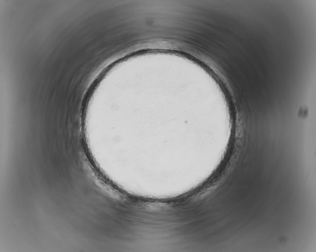 X0000112720837200910011130