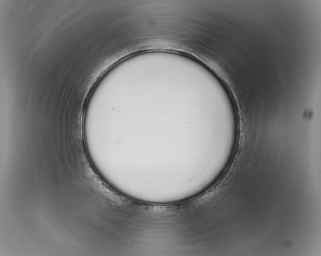 X0000112720839200910011130