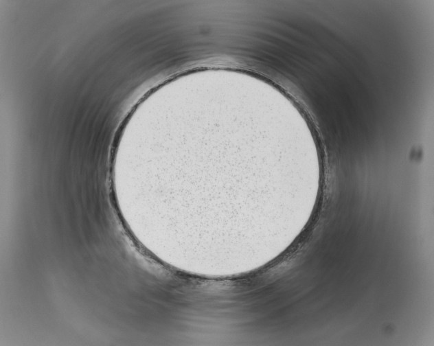 X0000112720845200910011130