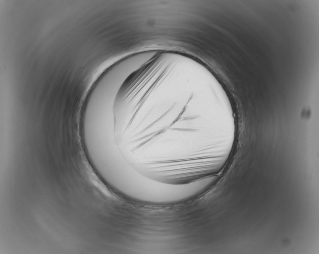 X0000112720846200910011130