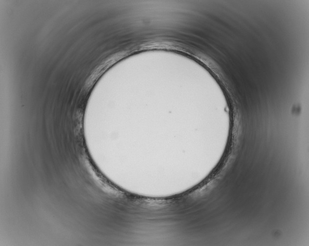 X0000112720849200910011130