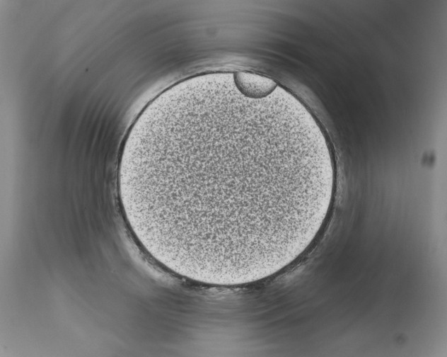 X0000112720850200910011130