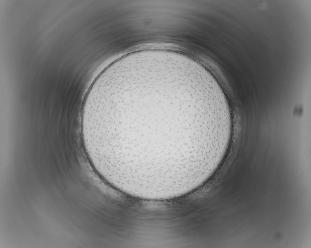 X0000112720852200910011130