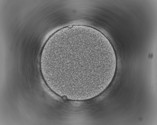 X0000112720854200910011130