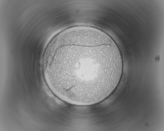 X0000112720856200910011130