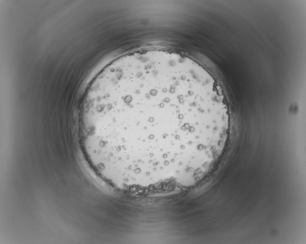 X0000112720859200910011130