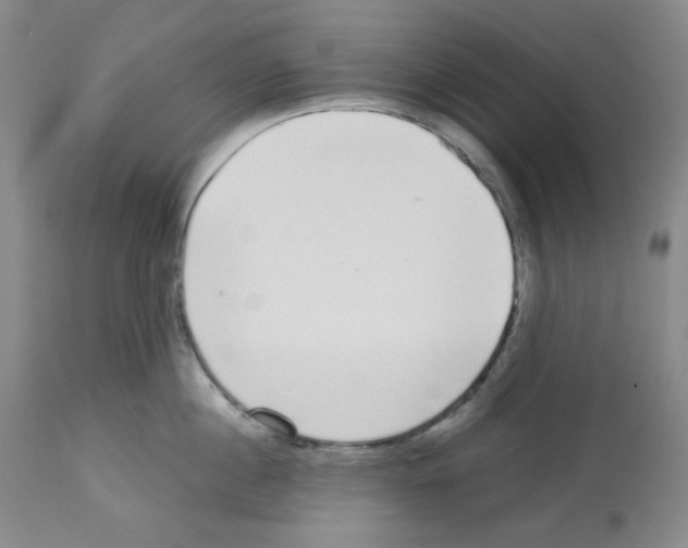 X0000112720860200910011130