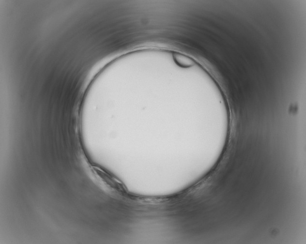 X0000112720862200910011130