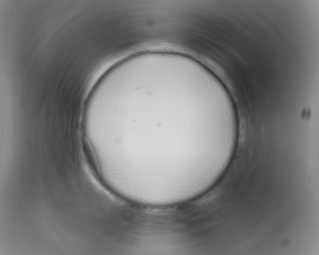 X0000112720863200910011130