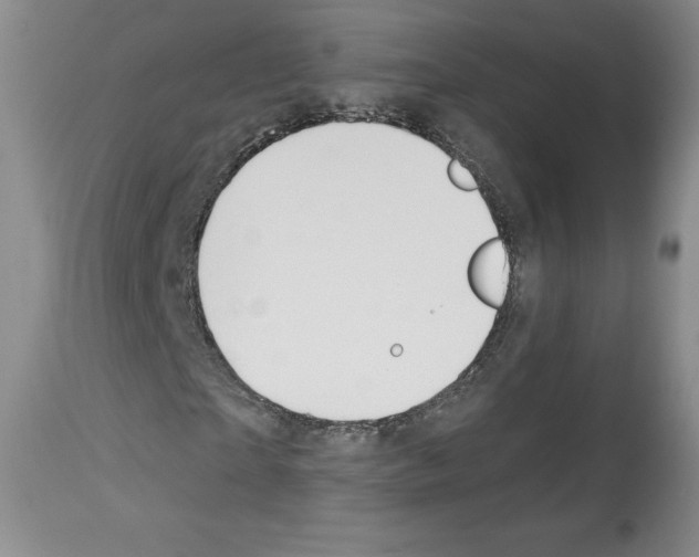 X0000112720865200910011129