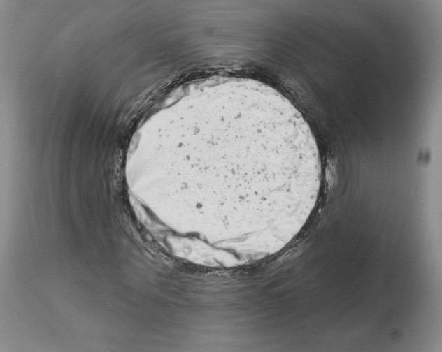 X0000112720867200910011129