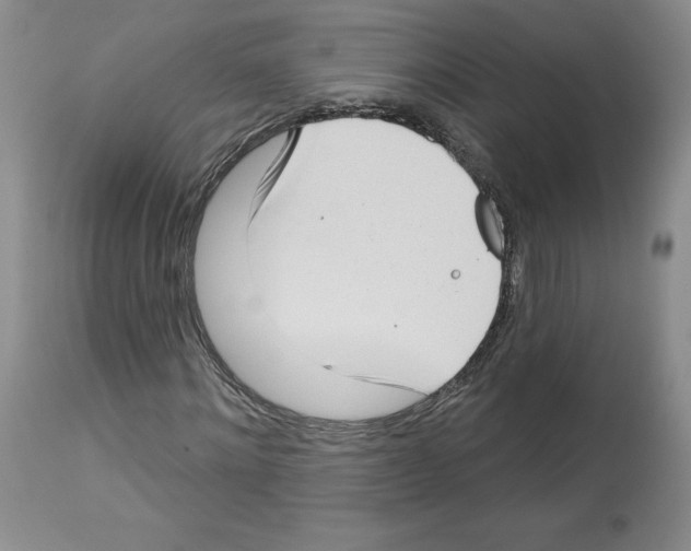 X0000112720868200910011129