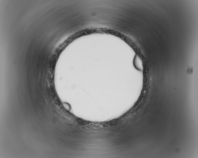 X0000112720871200910011129