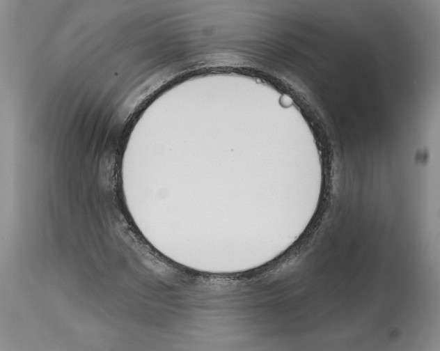 X0000112720873200910011129