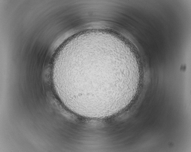 X0000112720874200910011129