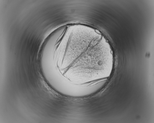 X0000112720876200910011129