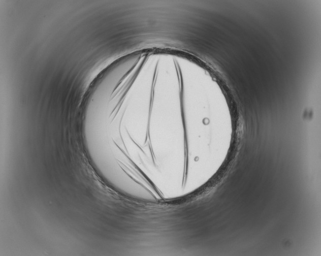 X0000112720877200910011129