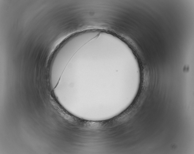 X0000112720878200910011129