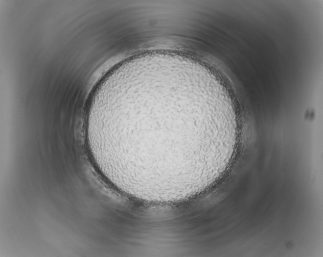 X0000112720882200910011129