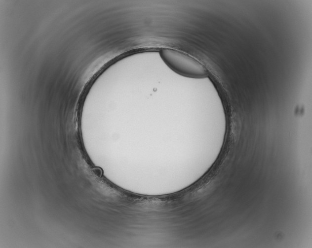 X0000112720885200910011129