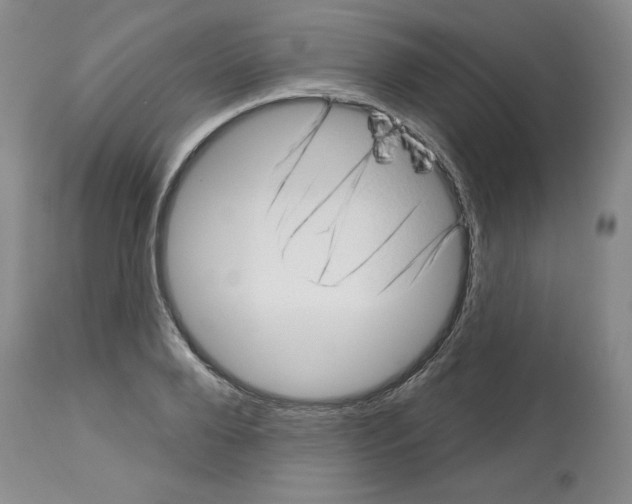 X0000112720888200910011129