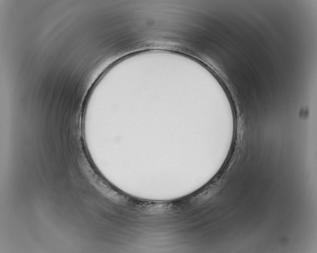 X0000112720891200910011129