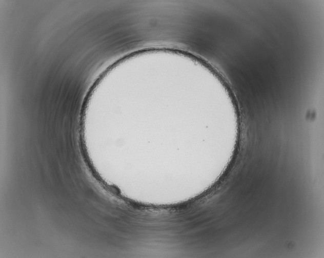 X0000112720895200910011129