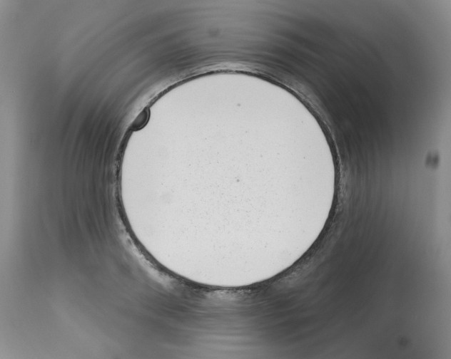 X0000112720898200910011129