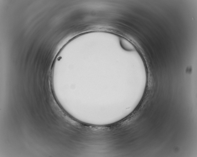 X0000112720899200910011129