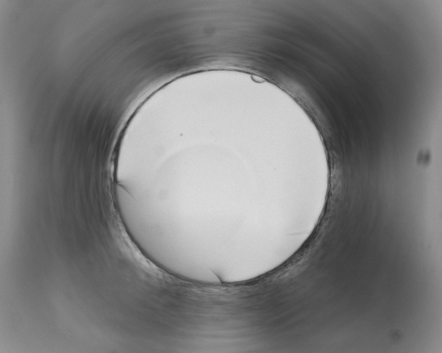 X0000112720900200910011129