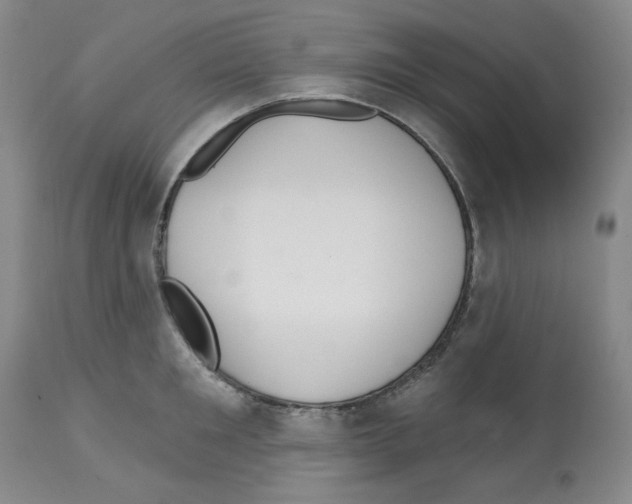 X0000112720901200910011129