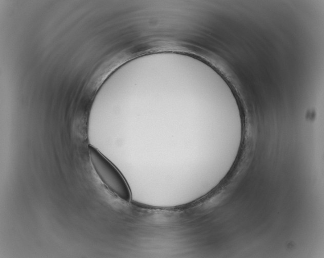 X0000112720905200910011129