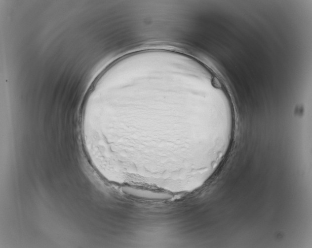 X0000112720907200910011129