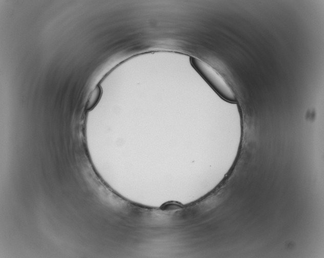 X0000112720908200910011129