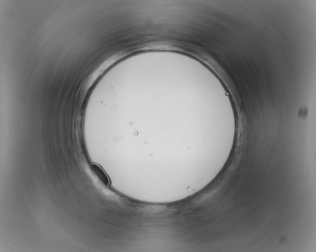 X0000112720909200910011129