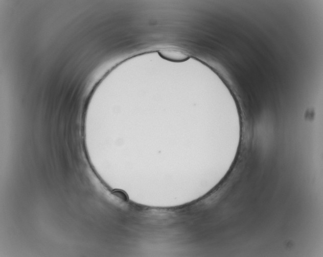 X0000112720910200910011129