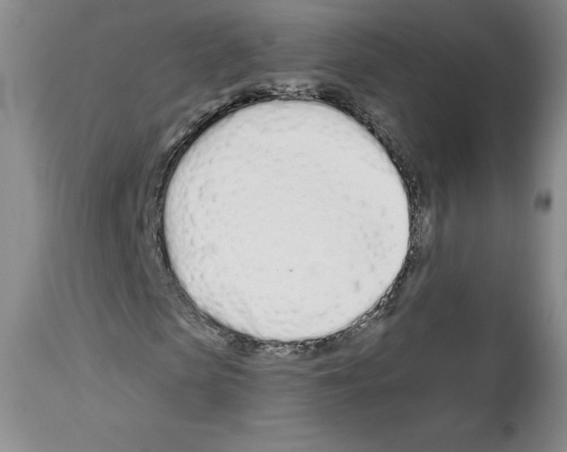 X0000112720913200910011128