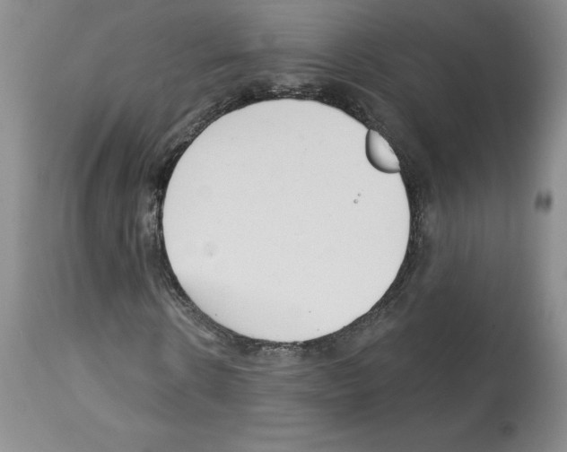 X0000112720914200910011128