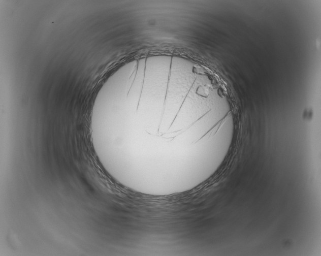 X0000112720916200910011128